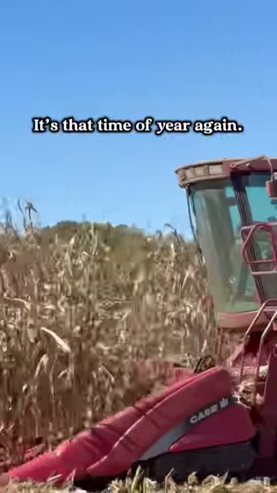 Putting the corn back when they don't like the price